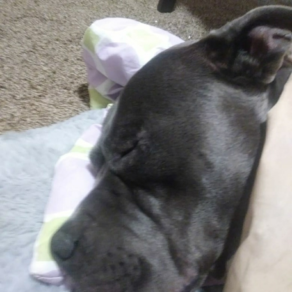 Meet your Posher, Olive